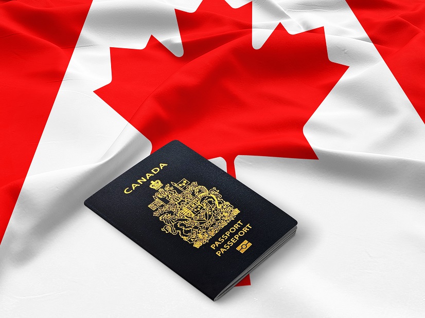 5. Traducción Migratoria. [Curso en línea]